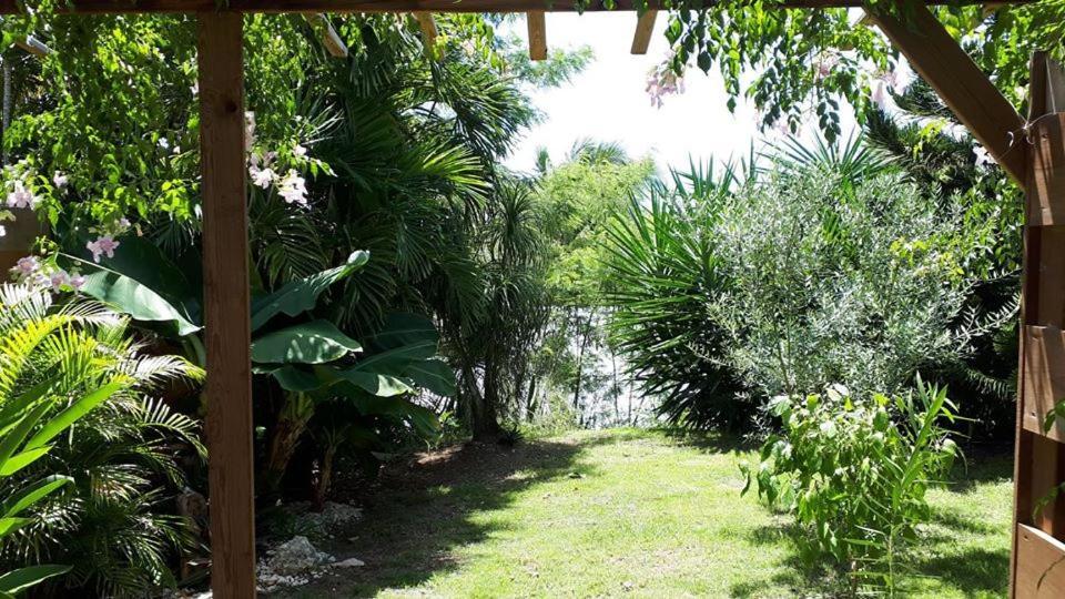 Studio Quisqualis Sainte-Anne  Εξωτερικό φωτογραφία